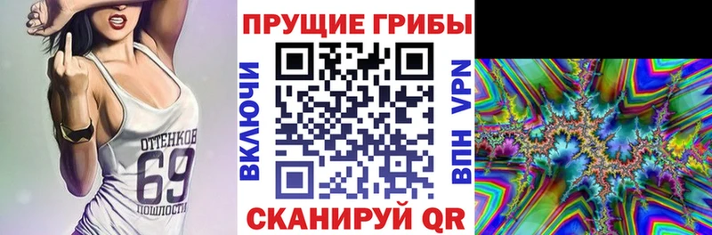 Купить закладки  Власиха  Галлюциногенные грибы MAGIC MUSHROOMS 